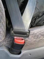 seatbelt-1314338