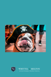 Pirate Dog by Kasra Keighobady from Getty Images